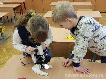 Дошкольное отделение №1 на улице Удальцова Изображение 2