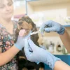 Ветеринарный центр Ветпомощь Любимчик на проспекте Вернадского Изображение 2