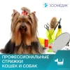 Ветеринарная клиника Зоомедик на Ленинском проспекте Изображение 2