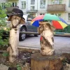 Учебный центр Окружной Методический Центр Изображение 2